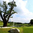 써닝포인트 컨트리클럽 이미지