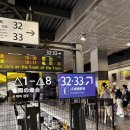 천광사 | 교토 당일치기 아라시야마 여행 | 순두부그라탕 | 천광사