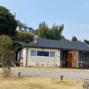 하얀고래 in 백야 이미지