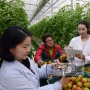 선임농장 이미지