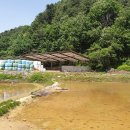 별드림캠핑장 이미지