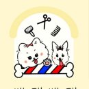 뽀댕뽀댕 이미지