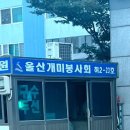 울산개미봉사회 이미지