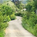 고운힐링팜 이미지