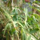 동산자연어린이집 이미지