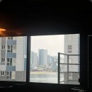 목스(Mox) 이미지