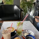 우일애견 이미지