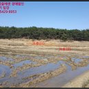 포항시북구54 이미지