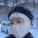 양평숲 비룡캠프장 이미지