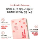 도도애견샵 네이버블로그