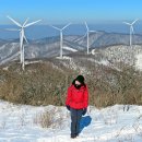 일산메아리산악회 2025년 1월 신년산행 태기산 산행기 이미지