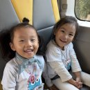 가을소풍-항공우주박물관✈️ 이미지