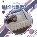 비봉목욕탕 | 청소의 비결(먼지헌터) // 안산 시흥 수원 화성 오산 경기남부권 소파청소, 매트리스 침대 청소