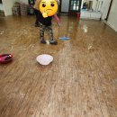 새양산유치원 이미지