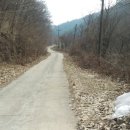 버들1길 이미지