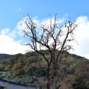 야동농장2 이미지