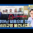 황장수의뉴스브리핑