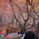 11월29일.토요일. 무명카페 출사.(개인 사정으로 취소 합니다) 이미지