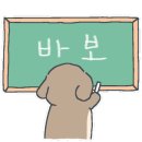 멍줍강아지산책유치원 이미지
