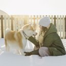 도담동물의료센터동물병원 이미지