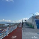 오동도 산책로입구 네이버블로그
