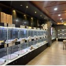 도그트랜드 이미지