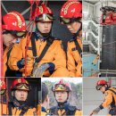 포레스트 이미지