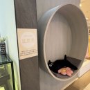 커피살롱 | NC백화점 부산대점 ‘엠비티아이 카페’, 살롱드커피랩 다녀온 후기🌿