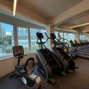 아벨라 짐 이미지