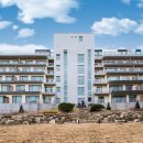 더화이트B 이미지