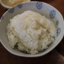 돈가스온기 이미지