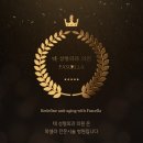 태성형외과의원 이미지