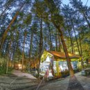 숲속에서 캠핑장 이미지