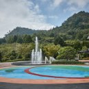 한국차문화공원 이미지