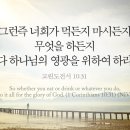 오포1동-11 Daum카페