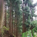 봉래약국 이미지