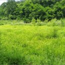 부목보건진료소 이미지