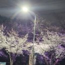 평거강변2 이미지