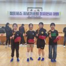 전주전일초등학교 | 전라지역 점프윙스 챔피언쉽대회 후기