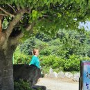 청해진한옥 이미지