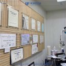 매디플란트 치과의원 이미지