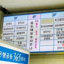 스테이하하하 이미지