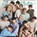 세븐틴 카카오 검색결과