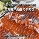 동강 | 수원맛집 찾다가 지인 추천으로 방문한 동강맑은송어 수원횟집 후기