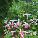 (주)세이지 이미지