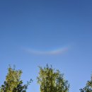 무지개스포츠 | [HSP가족] 수호나무의 스마일 무지개 선물, 무궁화꽃이 피었습니다