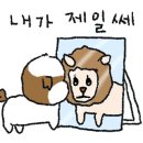 아이봄동물병원 네이버블로그