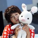 돼지토끼 이미지