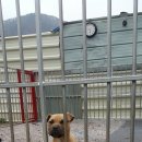 강생이네 이미지