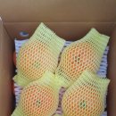 가영농장 이미지